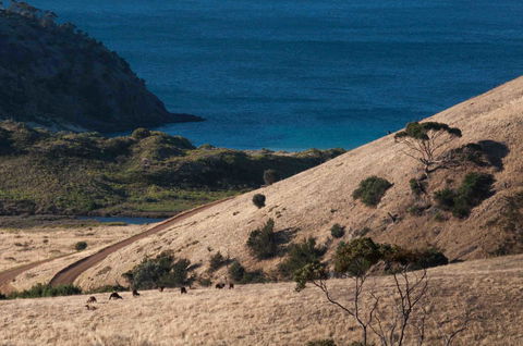 Admirals Inn - E Caravan Parks 44