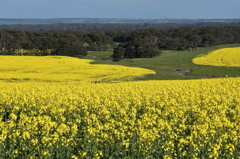 Admirals Inn - E Caravan Parks 41