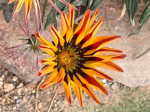 Aussie Opal Diggers Outback Retreat-Undergound - E Caravan Parks 26