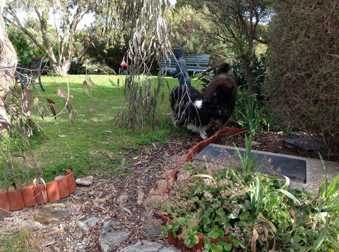 Casuarina Coastal Units - E Caravan Parks 29