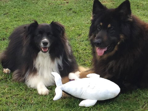 Casuarina Coastal Units - E Caravan Parks 30