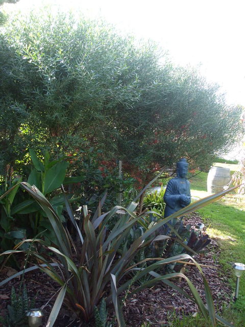 Casuarina Coastal Units - E Caravan Parks 16