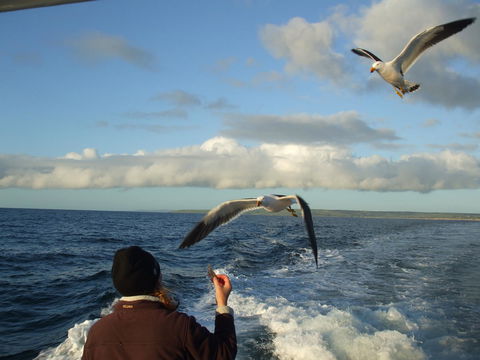 Casuarina Coastal Units - E Caravan Parks 25