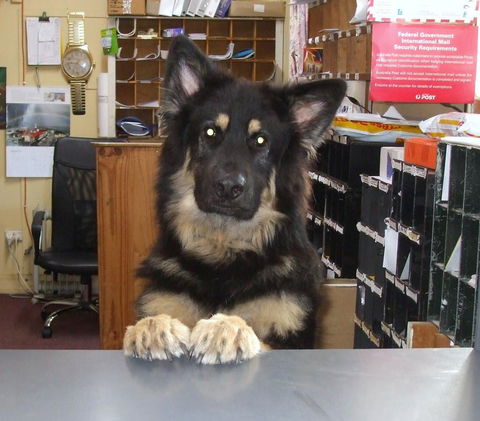 Casuarina Coastal Units - E Caravan Parks 15