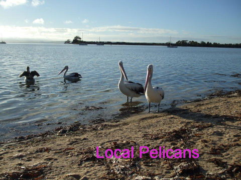 Casuarina Coastal Units - E Caravan Parks 23