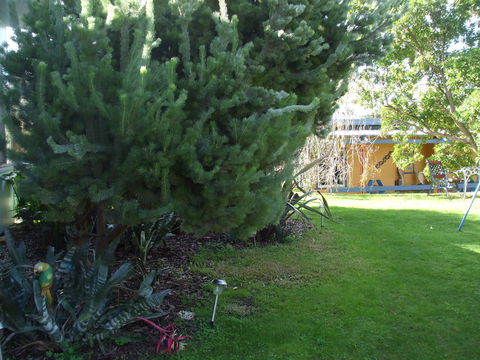 Casuarina Coastal Units - E Caravan Parks 21