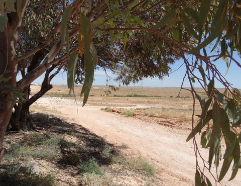 Di's Place - E Caravan Parks 17