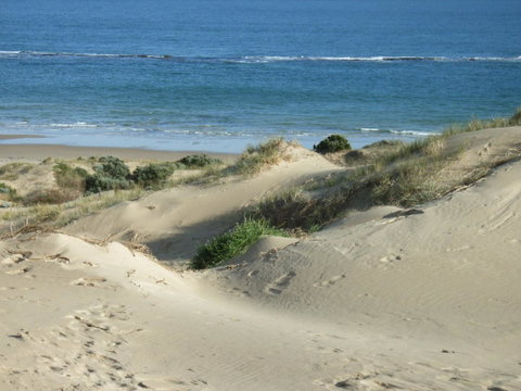 McCloud House - E Caravan Parks 10