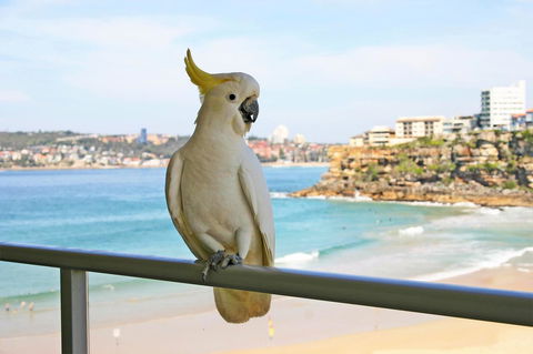 Beachfront Bliss - E Caravan Parks 23