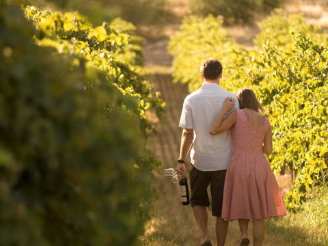 Novotel Barossa Valley Resort - E Caravan Parks 40
