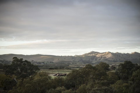 Novotel Barossa Valley Resort - E Caravan Parks 23
