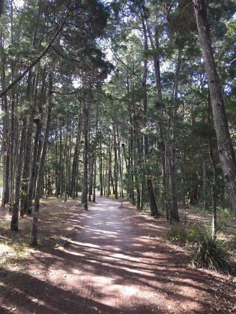 Brunswick Heads Treetop Studio - E Caravan Parks 8