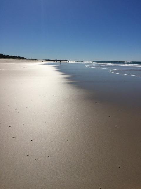 Brunswick Heads Treetop Studio - E Caravan Parks 23