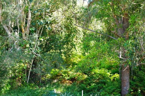 Brunswick Heads Treetop Studio - E Caravan Parks 20