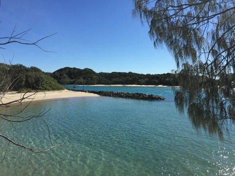 Brunswick Heads Treetop Studio - E Caravan Parks 22