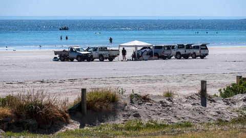 Wallaroo Holiday Park - E Caravan Parks 9
