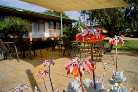 Kangaroo Island Seaview Motel - E Caravan Parks 3