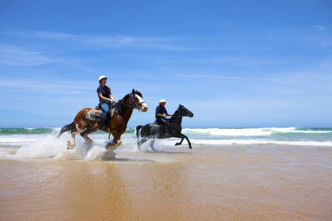 One Mile Retreat - E Caravan Parks 26