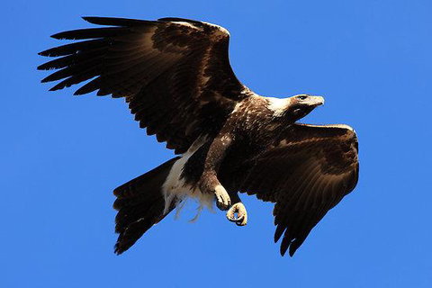 Eagles Range - E Caravan Parks 16