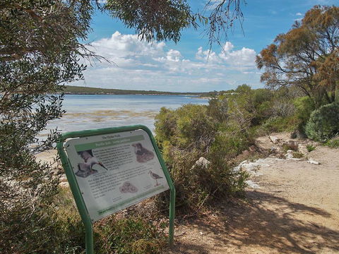 Willygunyah - E Caravan Parks 31