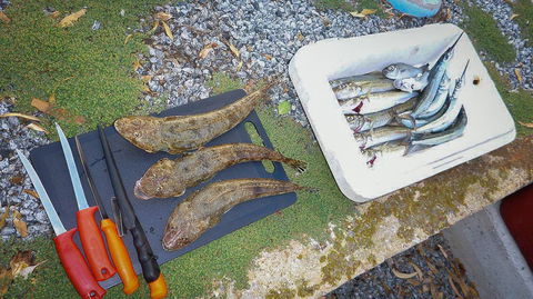 Willygunyah - E Caravan Parks 30