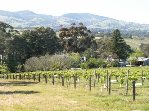 Archery Road Estate - E Caravan Parks 12
