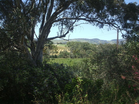 Archery Road Estate - E Caravan Parks 0