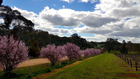 D2 At Watervale - E Caravan Parks 22