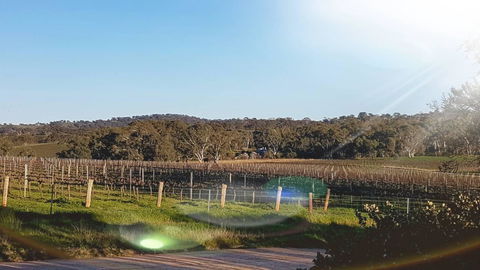 D2 At Watervale - E Caravan Parks 23