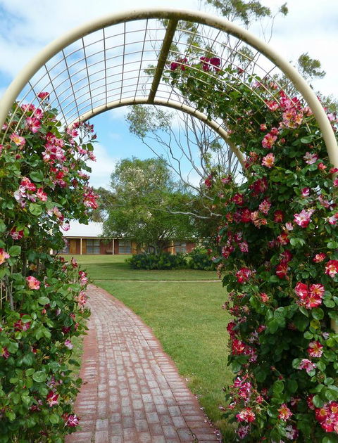 Coonawarra Place Motor Inn - E Caravan Parks 20