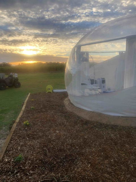 Coonawarra Bubble Tents - E Caravan Parks 6