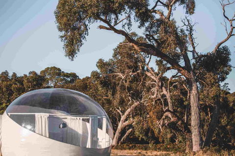 Coonawarra Bubble Tents - E Caravan Parks 10