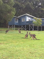 Book Denmark Accommodation E Caravan Parks E Caravan Parks