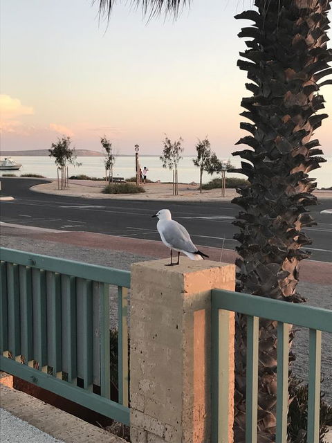 Shark Bay Seafront Apartments - E Caravan Parks 0