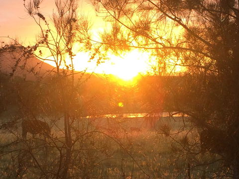 Grapevines Boutique Accommodation - E Caravan Parks 27