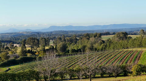 Grapevines Boutique Accommodation - E Caravan Parks 21