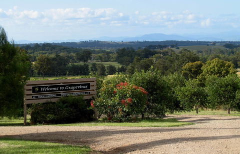 Grapevines Boutique Accommodation - E Caravan Parks 15