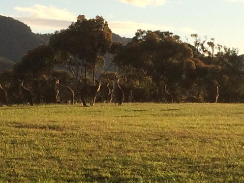 Grapevines Boutique Accommodation - E Caravan Parks 26