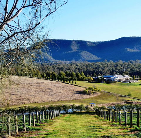 Grapevines Boutique Accommodation - E Caravan Parks 5