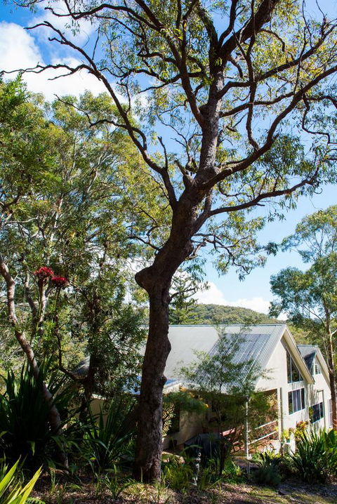 Nelson Bay Bed & Breakfast - E Caravan Parks 42