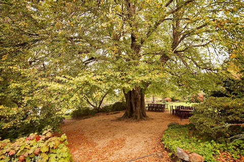 Nesuto Leura Gardens (formerly Waldorf Leura Gardens Resort) - E Caravan Parks 1