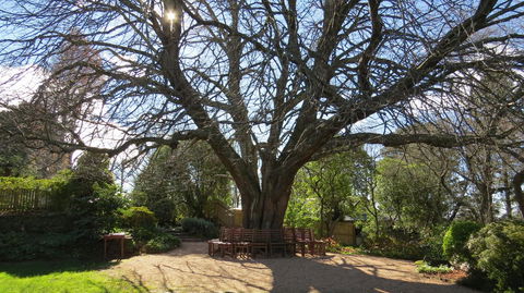 Nesuto Leura Gardens (formerly Waldorf Leura Gardens Resort) - E Caravan Parks 3