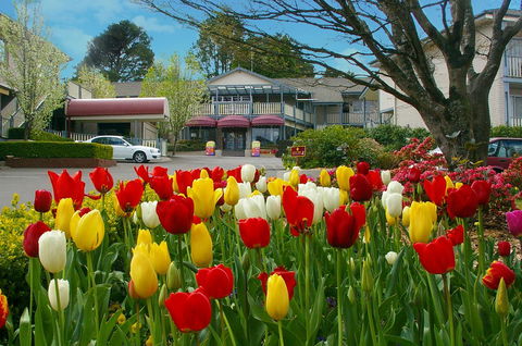 Nesuto Leura Gardens (formerly Waldorf Leura Gardens Resort) - E Caravan Parks 0