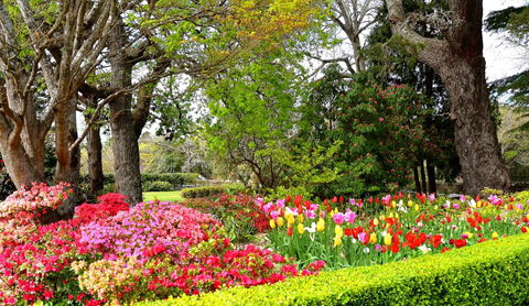 Nesuto Leura Gardens (formerly Waldorf Leura Gardens Resort) - E Caravan Parks 8