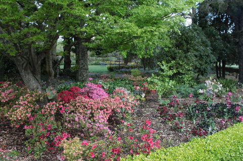 Nesuto Leura Gardens (formerly Waldorf Leura Gardens Resort) - E Caravan Parks 2