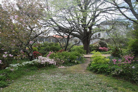 Nesuto Leura Gardens (formerly Waldorf Leura Gardens Resort) - E Caravan Parks 4
