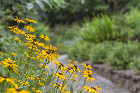 Nesuto Leura Gardens (formerly Waldorf Leura Gardens Resort) - E Caravan Parks 16
