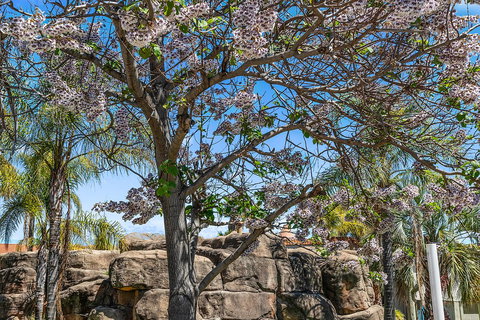 Quality Resort Siesta - E Caravan Parks 2