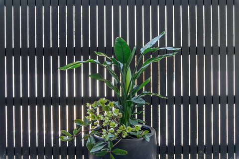 Quality Resort Siesta - E Caravan Parks 8