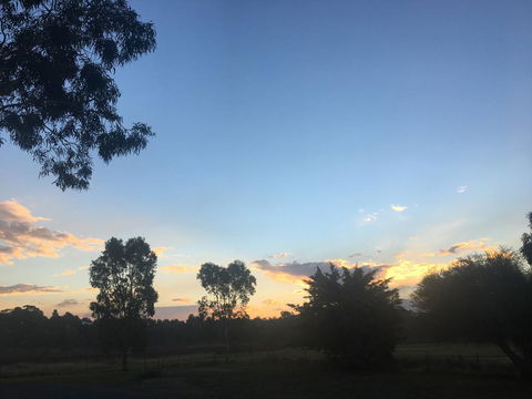 Junee Motor Inn - E Caravan Parks 26